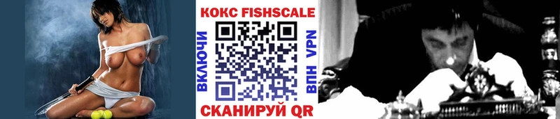 КОКАИН Fish Scale  где найти   Великий Устюг 