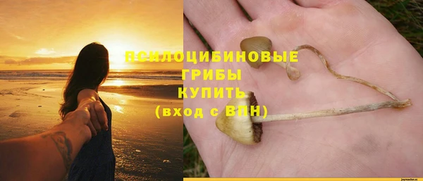 марки lsd Бородино