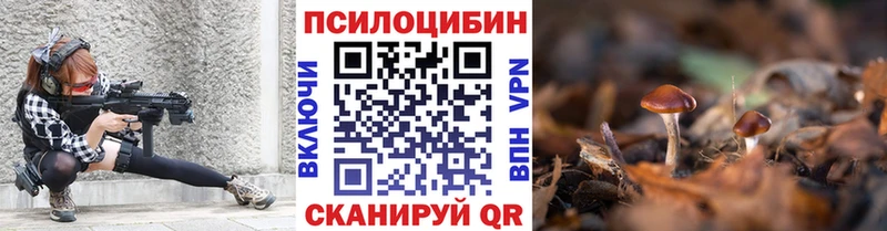 купить наркоту Великий Устюг Галлюциногенные грибы Psilocybine cubensis