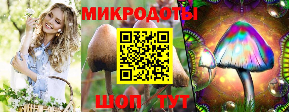 Псилоцибиновые грибы ЛСД Великий Устюг