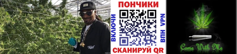 МАРИХУАНА SATIVA & INDICA  Великий Устюг 